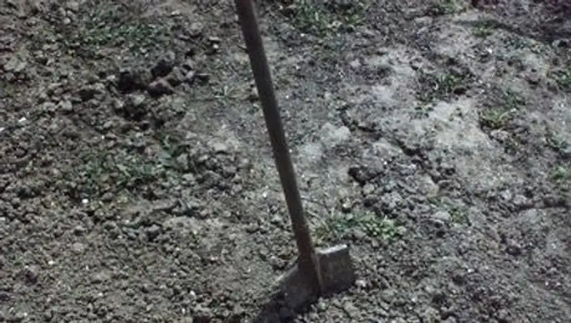 Почти 5 тыс га не используемых по назначению сельхозземель изъято в СКО