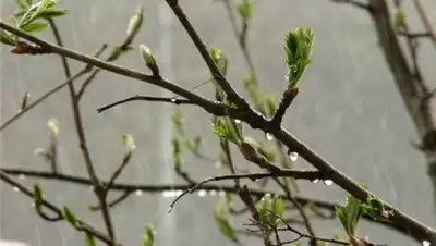 Zakon.kz, фото - Новости Zakon.kz от 29.03.2016 13:50