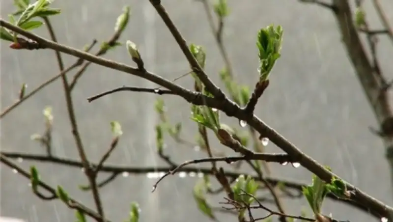 В Казахстане из-за влияния циклона сохранится ненастная погода с осадками
