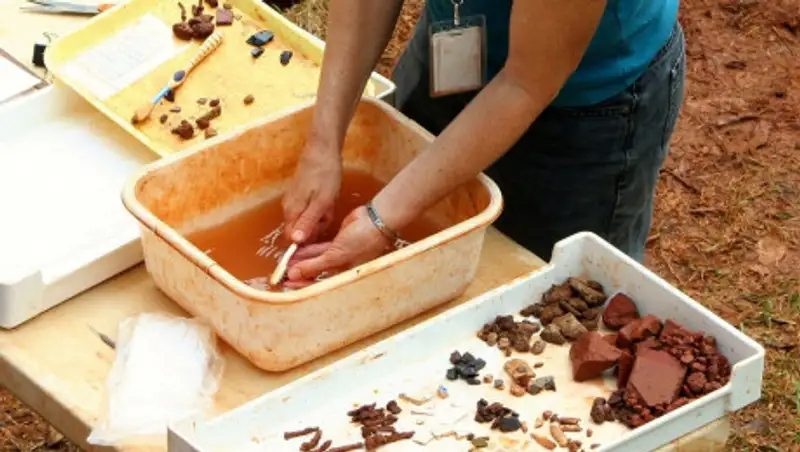 Ребенок нашел зуб мамонта, жившего сорок тысяч лет назад