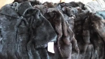 komkur.info, фото - Новости Zakon.kz от 30.11.2018 20:17