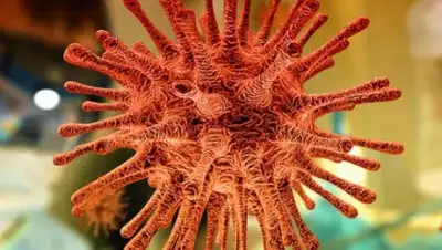 pixabay.com, фото - Новости Zakon.kz от 28.03.2020 13:21