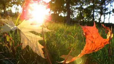 Zakon.kz, фото - Новости Zakon.kz от 26.08.2017 06:10