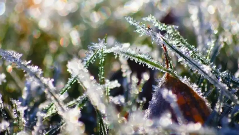 Штормовое предупреждение объявлено в нескольких областях из-за заморозков