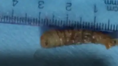 Zakon.kz, фото - Новости Zakon.kz от 05.06.2015 18:17