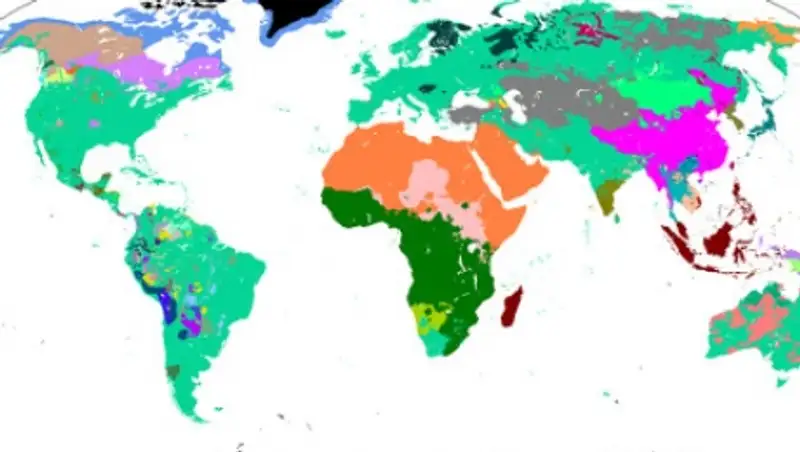 Названа главная причина отличий между языками