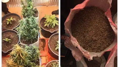 В Павлодаре ликвидировали нарколабораторию, фото - Новости Zakon.kz от 05.12.2022 16:50