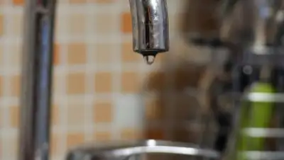 Zakon.kz, фото - Новости Zakon.kz от 17.05.2015 03:51