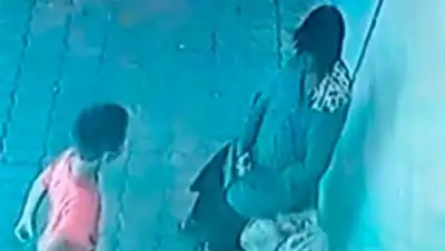 Скриншот видео, фото - Новости Zakon.kz от 09.08.2018 13:09