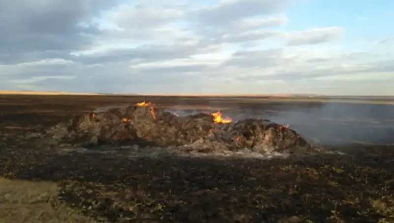 Степной пожар уничтожил 15 тонн сена в Костанайской области