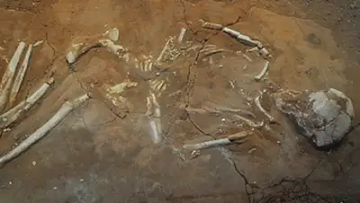 Zakon.kz, фото - Новости Zakon.kz от 19.06.2015 16:43