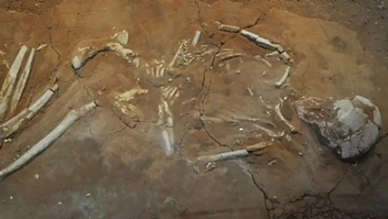 Археологи обнаружили древнегреческие могилы нежити