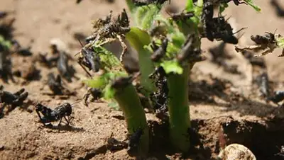 Zakon.kz, фото - Новости Zakon.kz от 11.06.2014 17:58