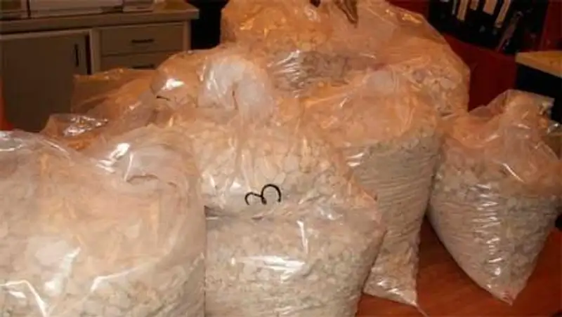 В Беларуси осужден казахстанец за организацию международного наркотрафика