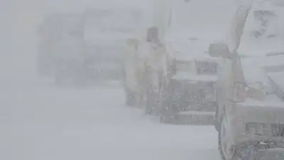 kolyma.ru, фото - Новости Zakon.kz от 12.11.2020 17:28