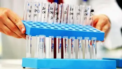 Zakon.kz, фото - Новости Zakon.kz от 07.02.2017 19:22