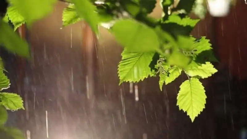 Пасмурная погода сохраняется в Казахстане