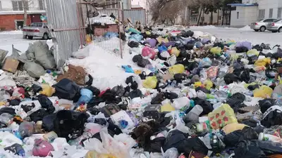 Полный завал: Рудный тонет в мусоре, пока идут судебные споры, фото - Новости Zakon.kz от 06.12.2022 17:47
