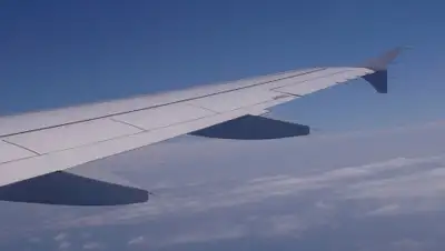 pixabay, фото - Новости Zakon.kz от 07.02.2020 13:16