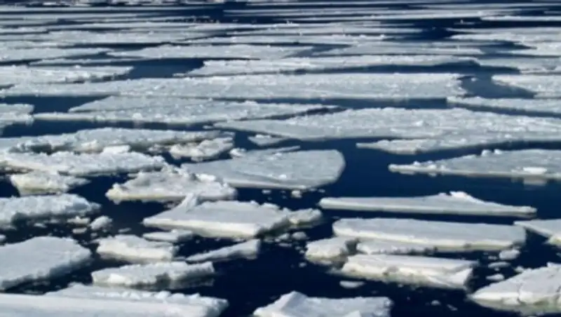 О повышении уровня воды в Сырдарье предупредили синоптики