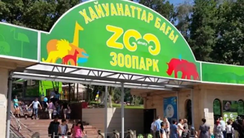 Зоопарк Алматы подал в суд на волонтеров