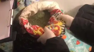 Мешок марихуаны хранил дома житель Туркестанской области