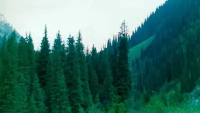 Zakon.kz, фото - Новости Zakon.kz от 28.10.2013 20:45