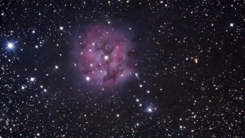 У звезды в созвездии Лебедя начали искать инопланетян