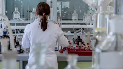 Pixabay, фото - Новости Zakon.kz от 09.04.2020 23:32