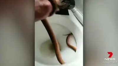 Zakon.kz, фото - Новости Zakon.kz от 18.09.2017 21:18