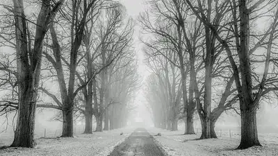 зима, фото - Новости Zakon.kz от 19.02.2023 18:25