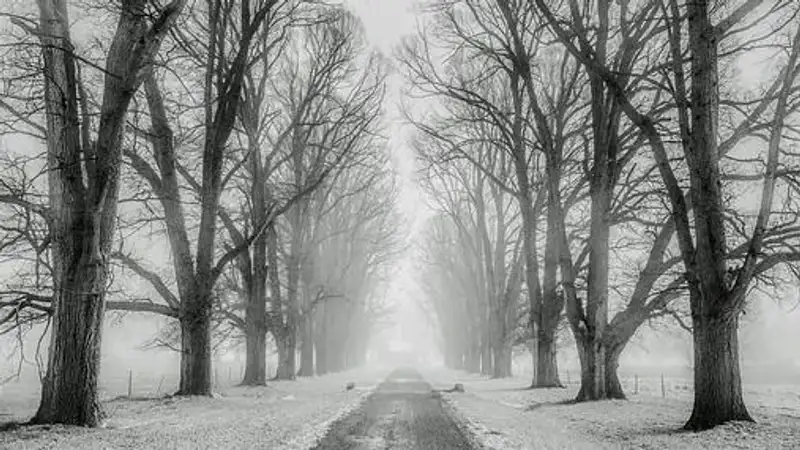 В ЗКО две дороги закрыты из-за непогоды