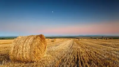 Zakon.kz, фото - Новости Zakon.kz от 10.02.2016 23:19