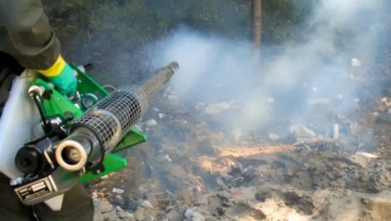 Астанада масалармен күрес басталды