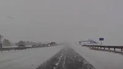 Zakon.kz, фото - Новости Zakon.kz от 21.02.2017 01:41