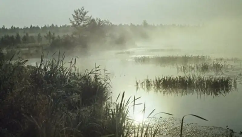 Тело акмолинца, пропавшего четыре дня назад, найдено в камышах
