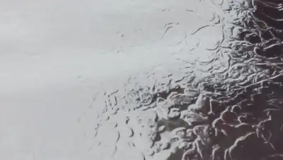 Zakon.kz, фото - Новости Zakon.kz от 11.09.2017 00:15