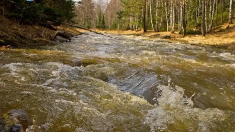В Темиртау ищут тело утонувшей школьницы
