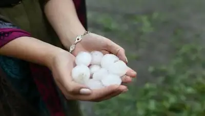 Zakon.kz, фото - Новости Zakon.kz от 22.06.2017 00:48