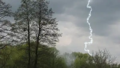 kaztag, фото - Новости Zakon.kz от 27.04.2020 06:03