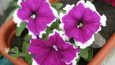 Zakon.kz, фото - Новости Zakon.kz от 28.04.2015 12:58