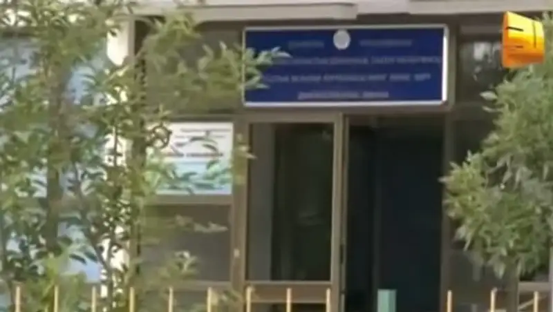 Жители Кызылординской области страдают от комаров