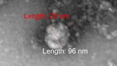 Роспотребнадзор, фото - Новости Zakon.kz от 25.01.2021 11:39