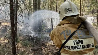 В Талдыкоргане введен запрет на посещение леса, фото - Новости Zakon.kz от 12.06.2023 22:40