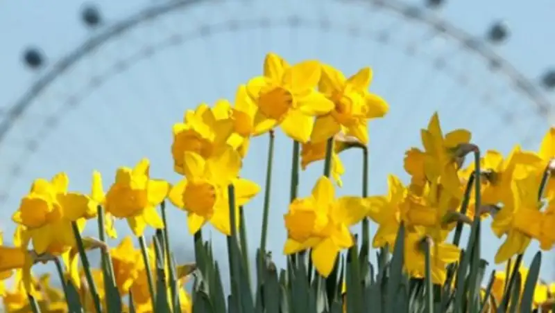Прогноз на апрель: в середине месяца синоптики обещают казахстанцам заморозки, в конце - до +25