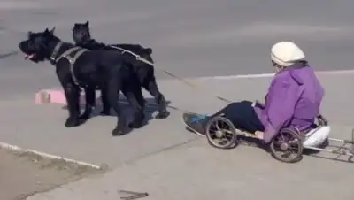 Zakon.kz, фото - Новости Zakon.kz от 30.04.2017 06:43