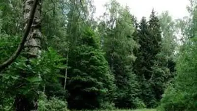 Zakon.kz, фото - Новости Zakon.kz от 28.10.2013 16:53