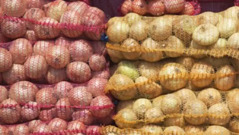 Партию казахстанского картофеля и лука не допустили к ввозу в Россию