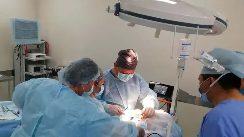 Врачи извлекли червей из мозга 10-летнего ребенка в Шымкенте