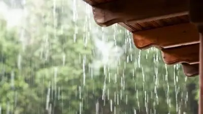 Zakon.kz, фото - Новости Zakon.kz от 22.05.2017 20:54